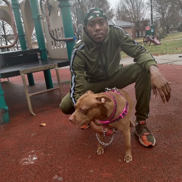 Olive Green Tracksuit - Picture 5 of 8